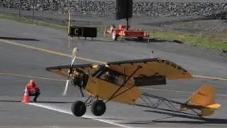 Valdez 2017 STOL