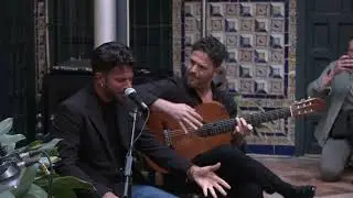 Los Palacios se adihere a la nueva Cátedra de Flamenco