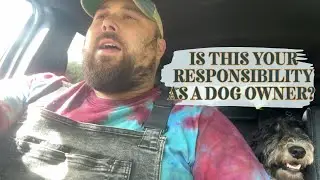 Is this your responsibility as a dog owner?