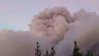 Dinosaur Tracks and Forest Fires - Grants Adventure Episode 751