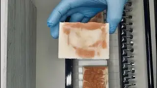  Cutting Bath Soaps 🧼  #artisanmade 