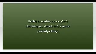 Unable to use img ng-src (Can't bind to ng-src since it isn't a known property of img)