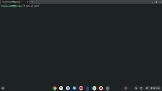 How to install Dolphin Emulator on Chromebook using Linux Terminal