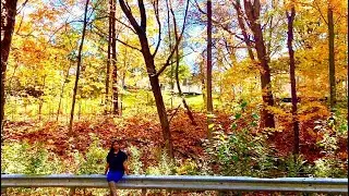 Beautiful Fall colours in Canada 2020