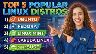 Top 5 Linux Distros in 2026: Find the Best One for YOU