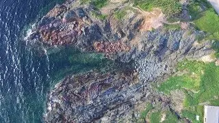 Beaches of Newfoundland