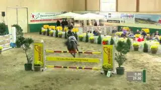 Youngstertour Einlaufspringen Sieg Covergirl du Toultia Z