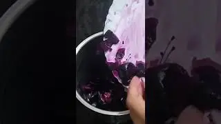 Jamun pulp recipe #juice #shorts #youtubeshorts #youtubevideo #viralshort