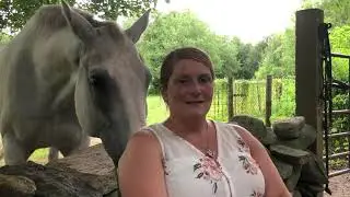 How Horses Help Veterans and Caregivers Heal — Beachwood Integrative Equine Therapy #beachwoodri