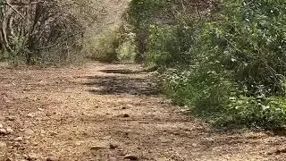 Salita al monte Circeo, via cresta (sentiero 750).