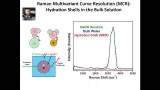 Raman Multivariate Curve Resolution (MCR): Hydration Shells in the Bulk Solution