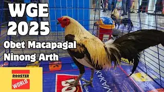 WGE 2025 | Obet Macapagal | Ninong Arth