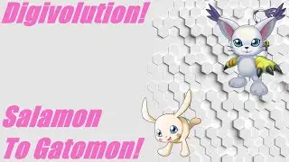 Digivolution! Salamon - Plotmon digivolve to Gatomon - Tailmon!
