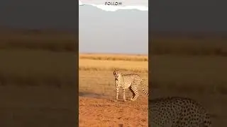 Nature said: NOPE 😭💨When speed fails&hellip;