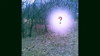 feelings of impending doom by disoc8  (slowed + reverb)
