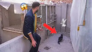 Ye Kia Hoa 🔴