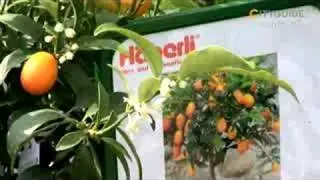 CITYGUIDE - H&auml;berli Neukirch-Egnach Schweiz