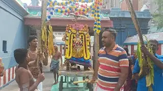  🐂 Maatu Pongal 🌾🌸 Kaanu Pongal🙏 Ambal Purappadu#Nammathippirajapuram #TamilTradition