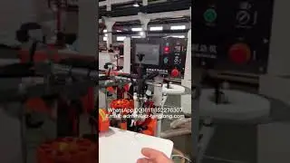 Automatic curved line edge sealing machine