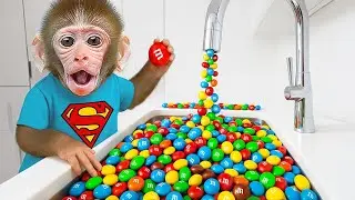 Singe Mon Mon ouvre le robinet magique M&M, c'est génial !😱🌈🐒