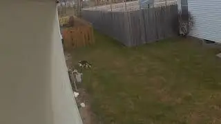 Arlo Pro 3 Zoom and Tracking Sample Footage