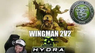 Hiko Playing Wingman 2v2 Against Silvers