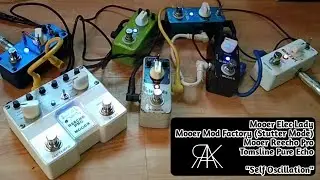 Mooer x Tomsline | Self Oscillation