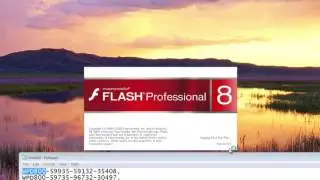 Flash Macromedia 8 Install Serial