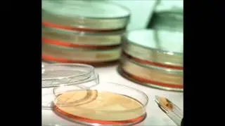 PREMIER3 Video