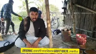 বিহুৰ কাৰণে original গুৰ প্ৰয়োজন হৈছে যদি।