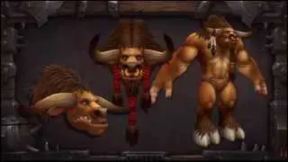 Warlords of Draenor - New Character Models
