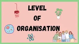 Level Of Organisation in Organism  | Cells | Tissues | Organs | Organ Systems.