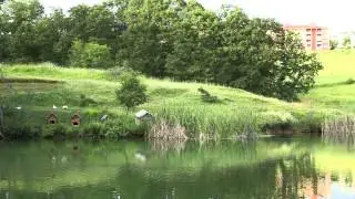 Canon EOS 6D Sample Video