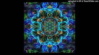Area 303 - The Flower of Life