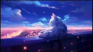 Lofi Cat Radio