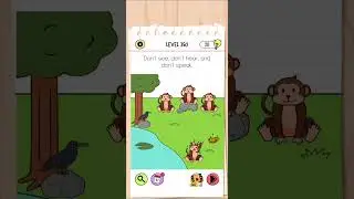 brain test All level 350