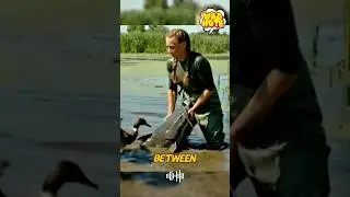 POOR DUCK 😭 ■wildlife #naturedocumentary #wildlife