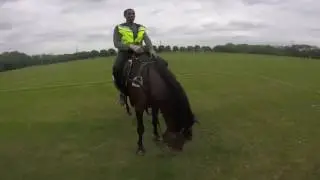 Crazy Hacking Out with company