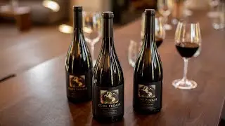 Clos Pegase Pinot Noir Dijon Clone Series