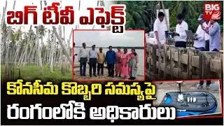 Konaseema Coconut Trees | కోనసీమ కొబ్బరిని కాపాడేందుకు..| Salt Water Issue |  BIG TV