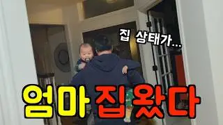 미국 일상 🇺🇸 자유 끝. 2박3일 후 돌아온 집 상태가... 😇 장보기 식재료 부터 채우는 현생 복귀 미국 브이로그