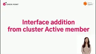 Check Point Quantum Spark: Interface Addition From Cluster Active Member