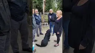 Универсальная страусиная ферма CFIA&brvbar; Раненая птица
