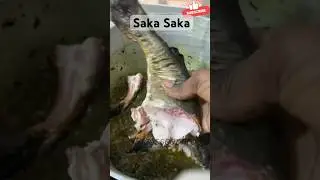 Saka Saka au S&eacute;n&eacute;gal/ Feuille de patate  sauce/ vegetable sauce #senegal #africa #cooking