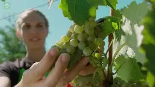 farmerJoe - die App f&uuml;r Landwirte