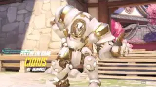 Reinhardt Versus Ice block