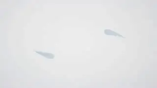 Clean & Flat 2D Intro Template   Sony Vegas   FREE DOWNLOAD