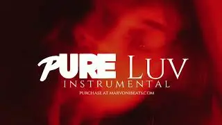 Dancehall Riddim Instrumental 2024 ( Pure love  )