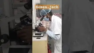 M plus diagnostic centre Bodhgaya,domuhan,gaya Bihar