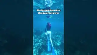 Second part of the worldschooling day in Roatan, Honduras, we spend snorkeling in the MesoAmerican